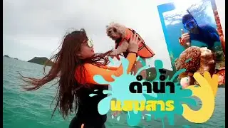 รีวิวดำน้ำแสมสาร Murati , The heritage pattaya, The chocolate factory, chariots bangsaen