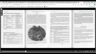 Using Pathworking and Shamanic Journeying to Work with Ancestors and the Orisha