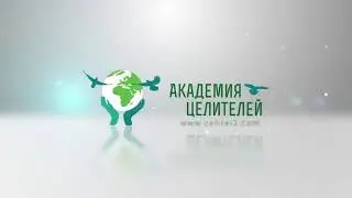 Источник психоза-фантазии Николай Пейчев, Академия Целителей