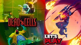Dead Cells: WE GOING TO THE BANK NOW??