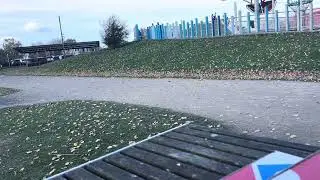 Drying leaves