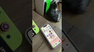 Как работает ютуб на Nintendo Switch Oled