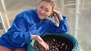 Preparing the Garden for Winter | Covering Hydrangeas and Roses