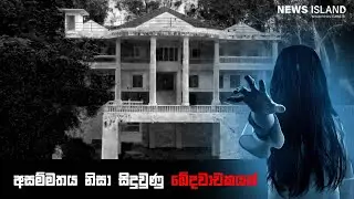 සුවිසල් මැදුරේ සැඟවුණු තුන්කොන් ප්‍රේමයේ ඛේදවාචකය