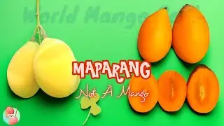 MAPARANG - A Sweet & Sour Treat | Taste Review | Everything About