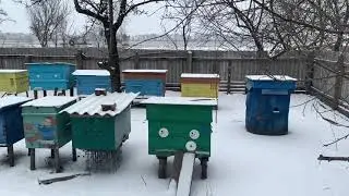 Январь 2022. Новый год, новые возможности)