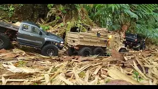 TRX-4 | Cross RC HC6 | Axial SCX10  - Deep Jungle Trail Adventures