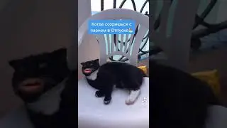 Кот говорящий рот. Когда ссоришься с парнем в отпуске