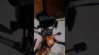 DARWIN129 + WALKSNAIL
