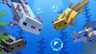 Axolotl - Render Timelapse