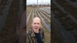 опять врывается весна