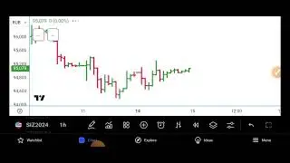 Торговый план на 15.10.2024