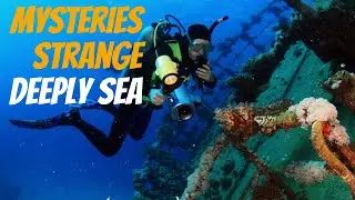 Unveiling the Mysteries: Strange Discoveries from the Deep Sea