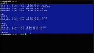 Linux: ls list files recursively in order or time and size