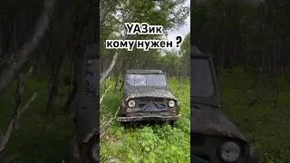 Нашли целый УАЗ в лесу, на ходу  