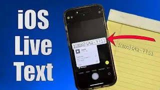How to Use Live Text on iPhone – Copy, Translate, & More!