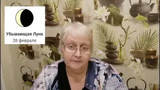 Лунный посевной календарь на февраль 2021. Что и когда  сеять в феврале.