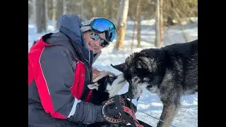 2023 03 Lapland