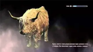 Скайрим- моды(Замок 