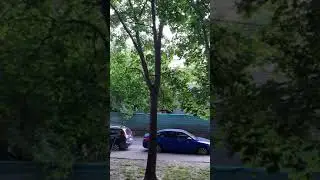 31 июля 2020 г.