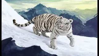 Бока Чика 07 Юрий Скоробогатько Аудиокнига ч1 29-32