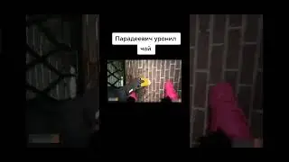 #хозяева