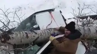 Дерево упало на машину