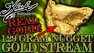🔴 GOLD STREAM #231 - 1.29 GRAM GOLD NUGGET! FUN INCLUDED!