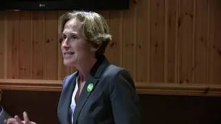 "Brexit , Independence and Workers Rights" 30 .11. 2018 Anne Thomas Scottish Green Party
