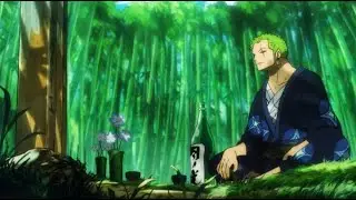 Zoro Visits Pedro's and Yasuie's Grave and Pays them Respect (english sub)