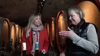 Jungweinprobe des Jahrgangs 2020
