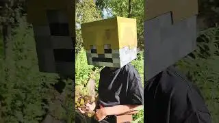 Adventures of Skeleton in a Golden Helmet  #minecraftcosplay #cosplay #diycrafts #cardboardcraft