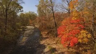 Золотая осень на Земле Леопарда Golden autumn on the land of leopard