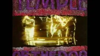 Temple of the dog - Times of trouble
