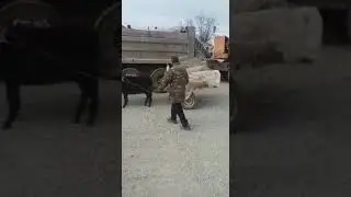 погрузка тележки экскаватором. смотреть до конца