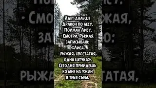 18 мая 2024 г.