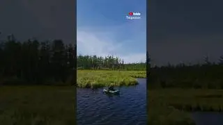 Рыбалка сетями на карася в Якутии! Таежные озера #shorts #fishing #карась