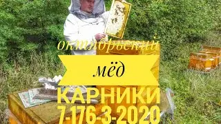 6 октября 2023 г.