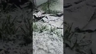 Рязань 08.05.2024