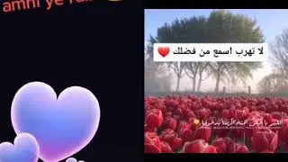 23 novembre 2020