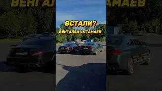 ОНИ ВСТАЛИ?! ВЕНГАЛБИ VS ТАМАЕВ! 