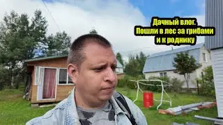 Дачный влог. Пошли в лес за грибами и к роднику