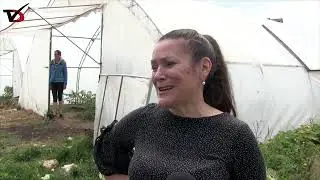 С уникална за България посадъчна машина се сдоби „Чудната градина“