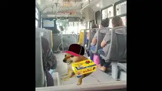 Cheems vemdedor #camioncito #cheems