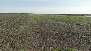 6 ,05 ,24 рік внесення раундапу на сою