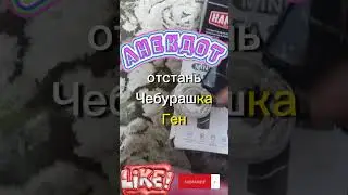 😀АНЕКДОТ🤣Гена и Чебурашка. 
