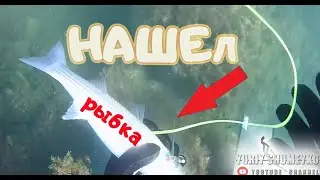 В ПОИСКАХ РЫБЫ ! ОХОТА ПОД ВОДОЙ ! 2020 spearfishing