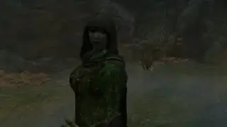 [Skyrim] Обзор модов - 18 - Прятки, Компаньон эльф