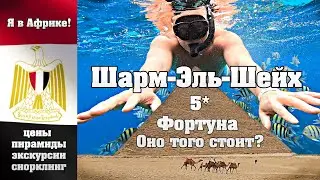 Египетская Сила! Шарм-Эль-Шейх + Фортуна 5* + Все Включено. Оно того стоит? Каир и др. экскурсии.