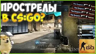 ПРОСТРЕЛИВАЕТ КАК В CS 1.6 ! ПАТРУЛЬ В CS:GO #12